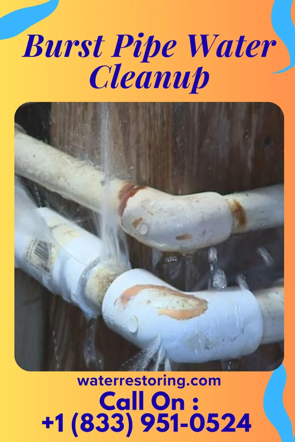 Burst Pipe Water Cleanup in Lena, IL
