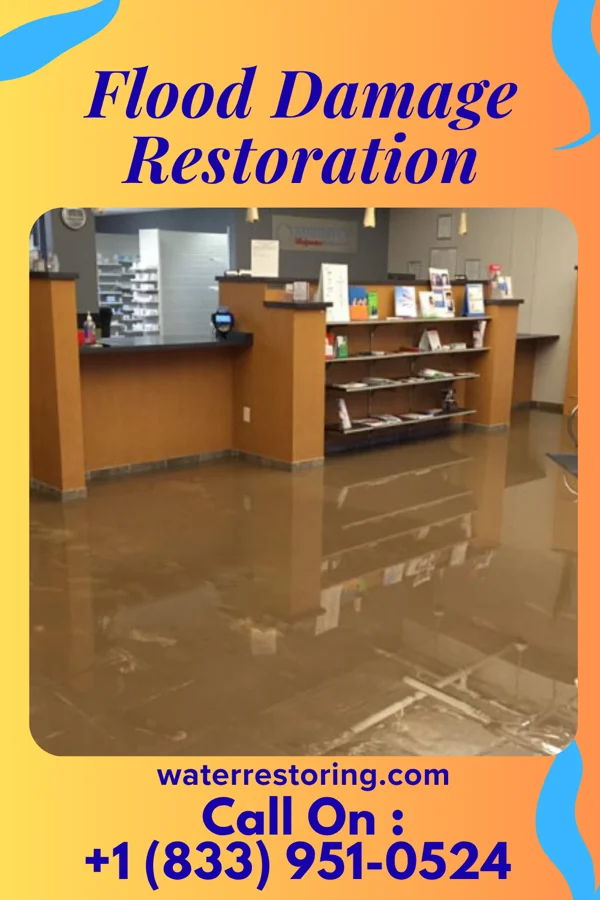Flood Damage Restoration in Lena, IL