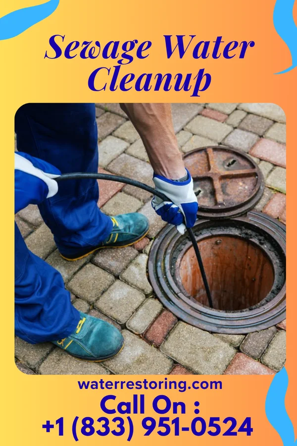 Sewage Water Cleanup in Lena, IL